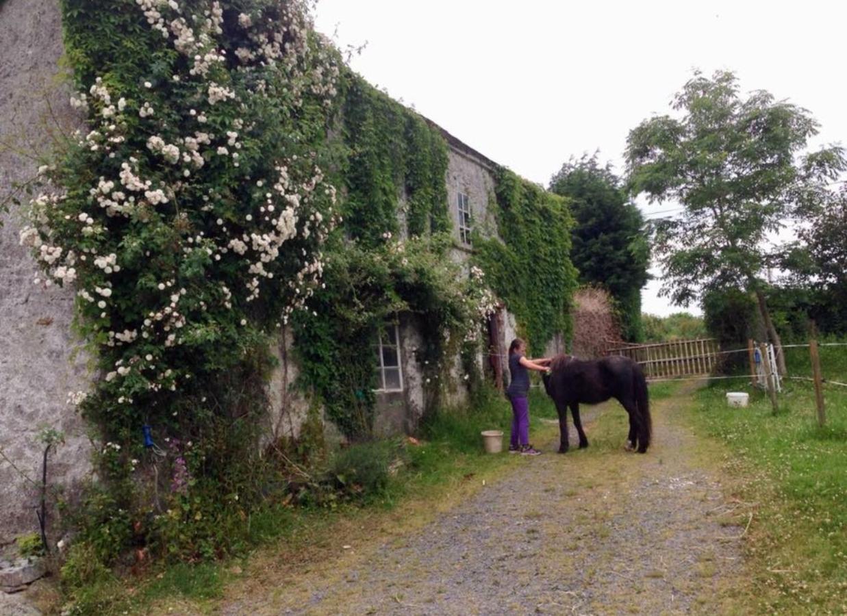 Ballyrider House Hotel Inch Cross Bagian luar foto